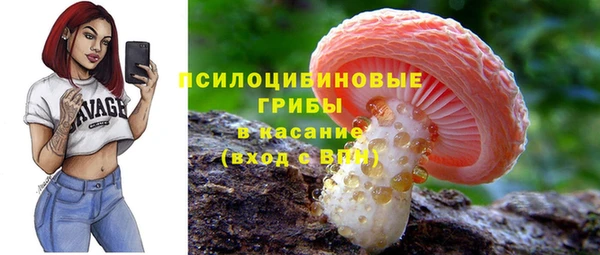 гидра Бабаево